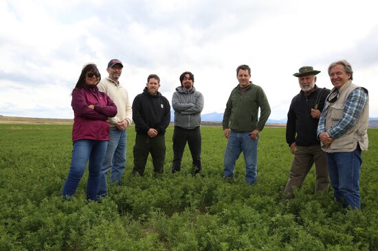 On our second day in Magallanes, we met Alejandro Reyes (green sweater) from Estancia Cerro Guido, who, during the past six years, has been increasing production of alfalfa at the 300+ hectare property he oversees. Alejandro is collaborating with INIA’s Jorge Ivelic in evaluating new alfalfa varieties. “Alfalfa is our queen; it grows very well in very dry seasons,” he said. Photo: LS Salazar/Crop Trust