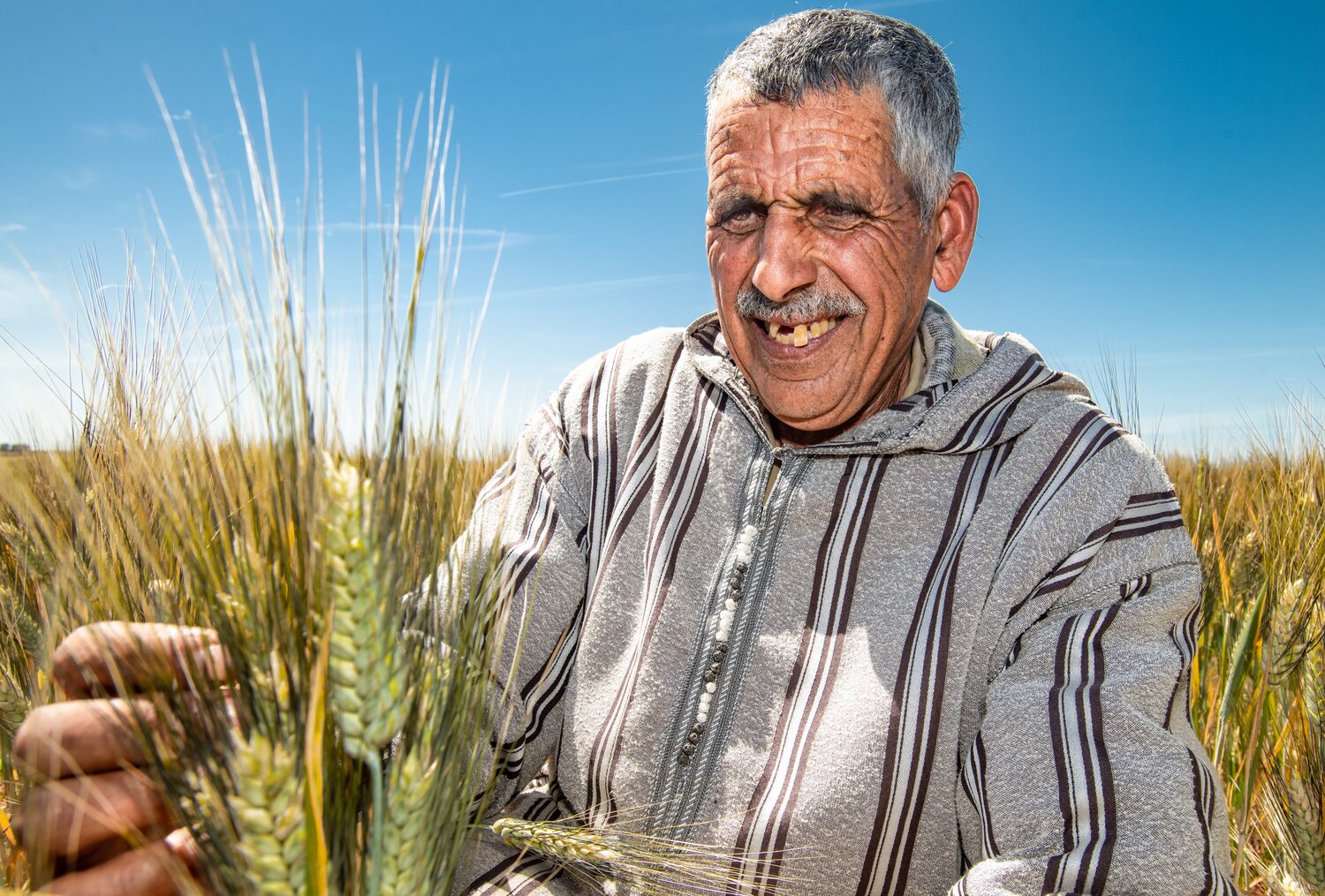farmer in Morocco