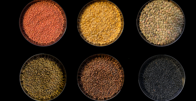 six bowls full of lentil varieties of different colors