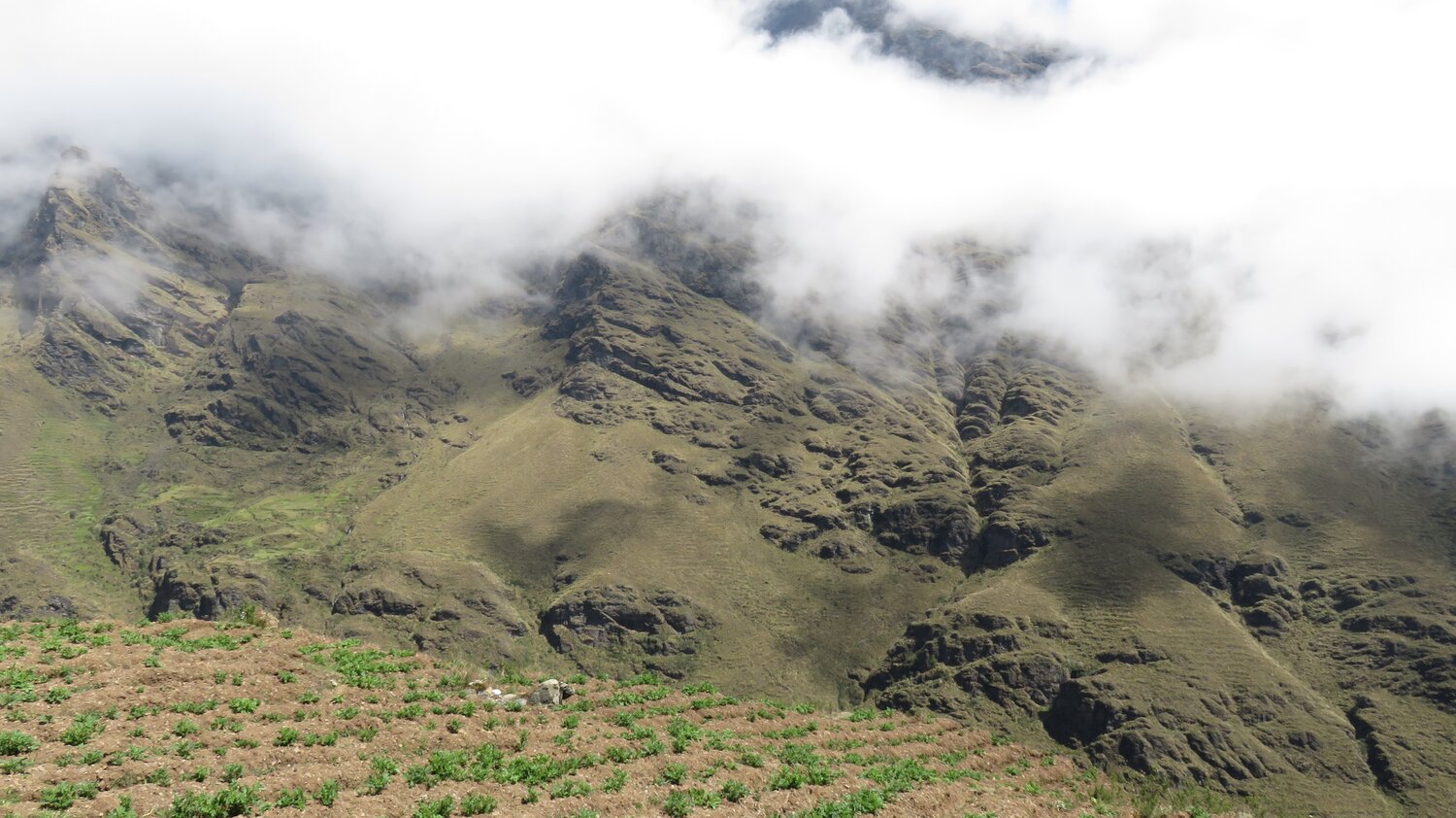 A highland Andean landscape with potato fields in the foreground. Photo: CIP