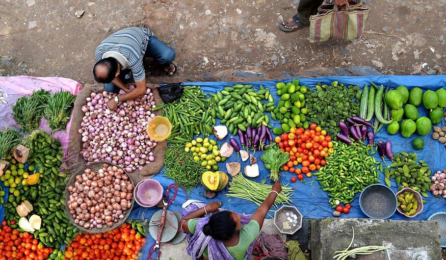 Diverse Food is the Real Low-Cost Food