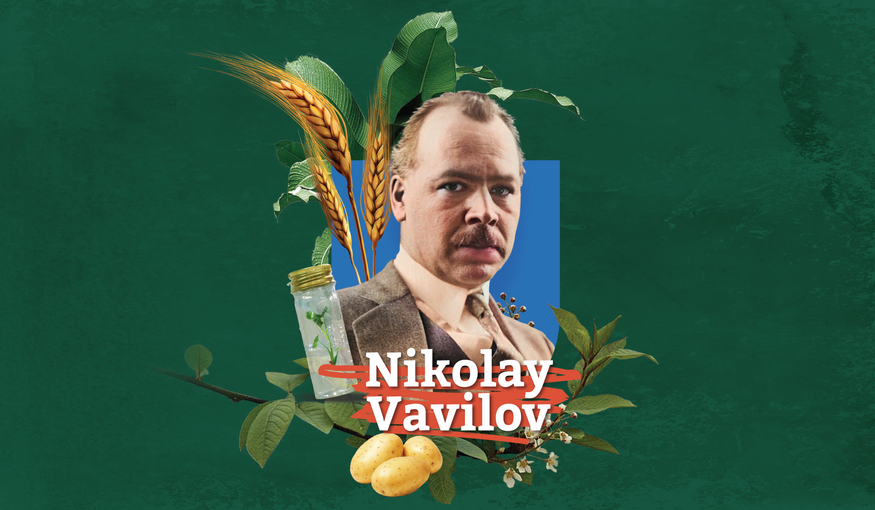 Nikolai Vavilov: The Father of Genebanks