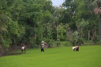 workers in field thumbnail