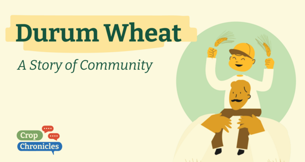 Durum Wheat: a Story of Community