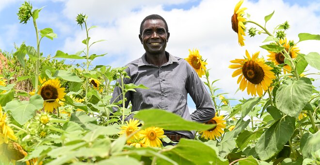 Farmers and Genebanks Explore Crop Diversity in Zambia