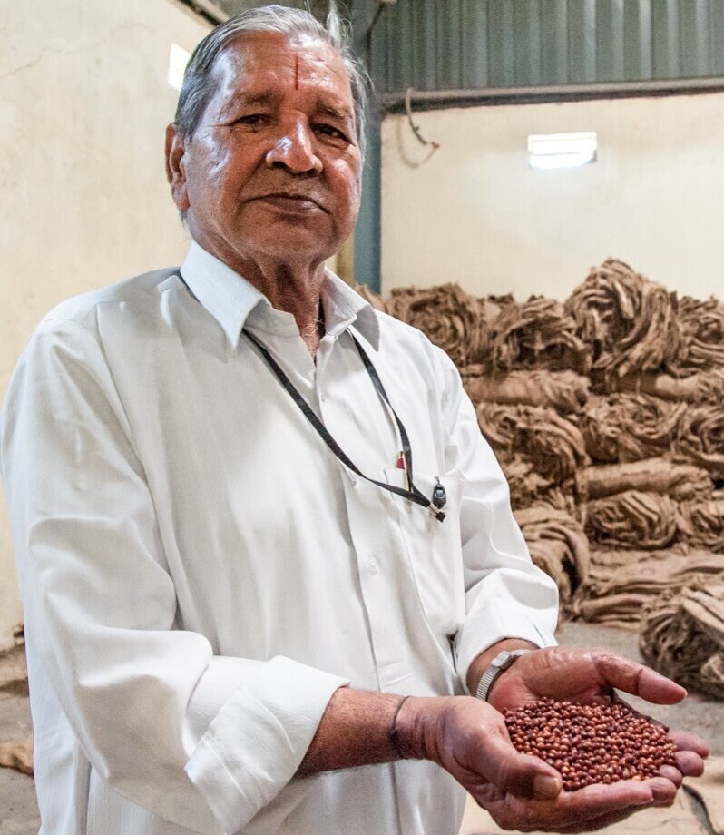 Man holding pigeonpeas in his hands.