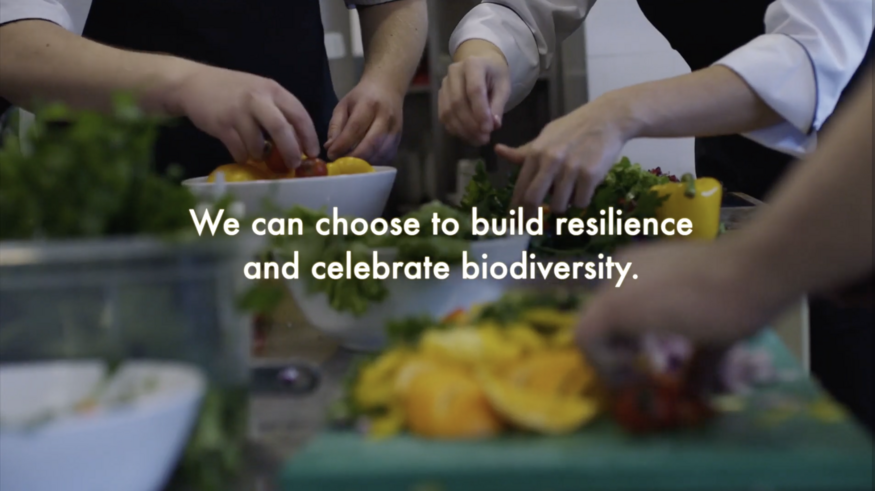 Biodiversity for Resilience: Chefs, Advocates for Biodiversity