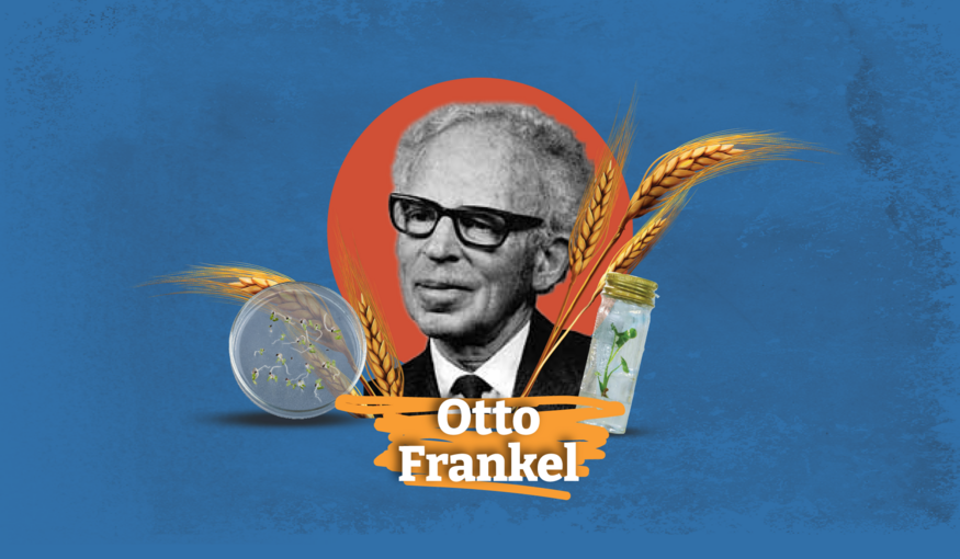 Otto Frankel: 1960s Trailblazer for Plant Biodiversity Conservation