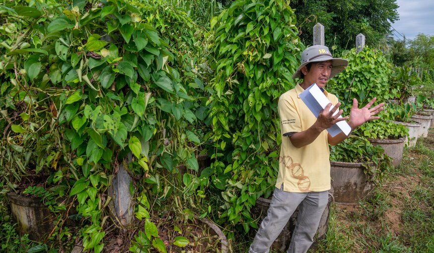 Man standing and talking in front of yam crop.