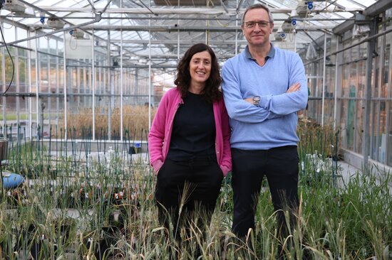 Ian and Julie King, Director and Research Director of the Nottingham/BBSRC Wheat Research Centre at The University of Nottingham in the United Kingdom.