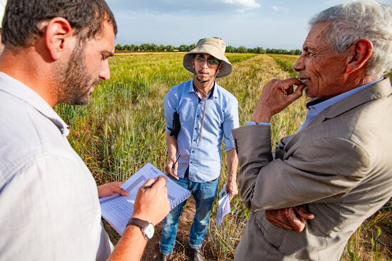 ICARDA scientists and farmers in the field. 