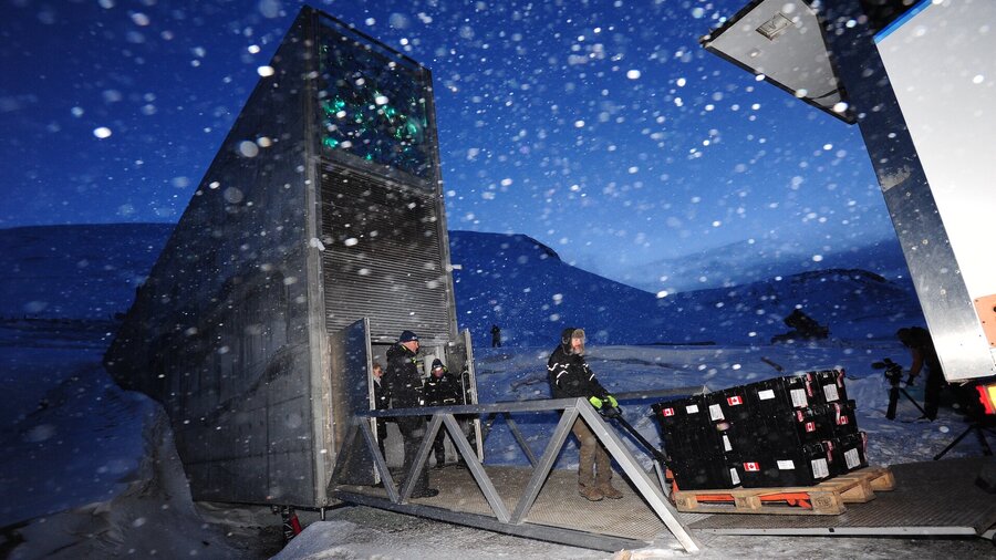 New seeds are being deposited at the Svalbard Global Seed Vault.