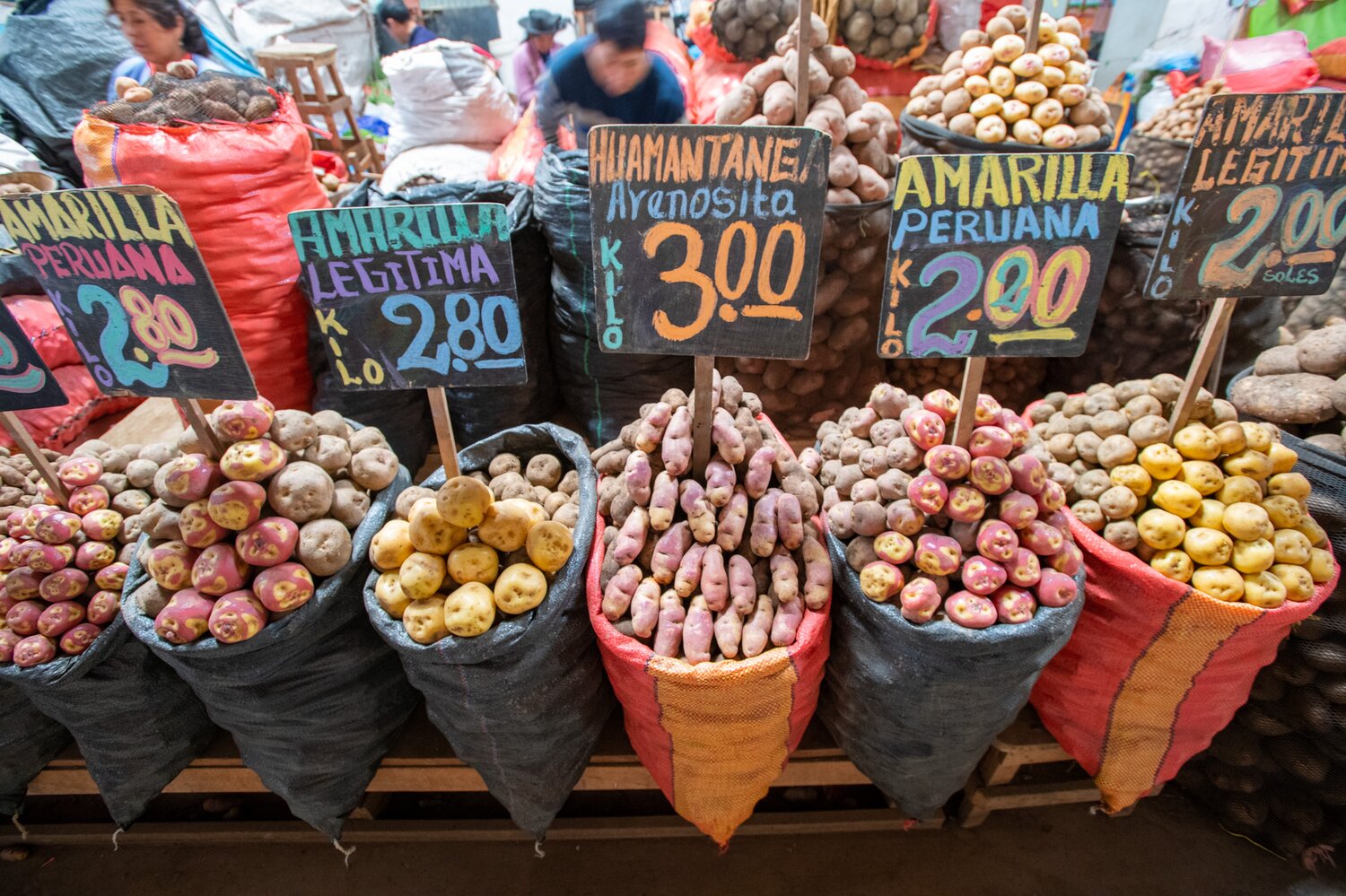 Potato diversity in Huancayo central market