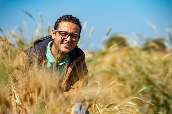 Participant of the first International Experts Workshop on Prebreeding utilizing Crop Wild Relatives in an ICARDA wheat field in Morocco. Photo: Crop Trust