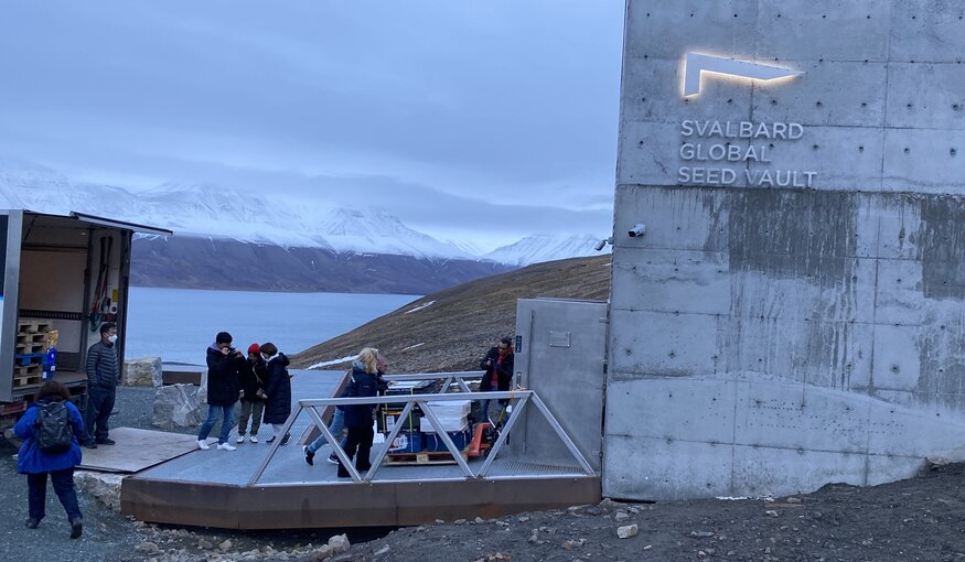 NordGen staff carry more than 45,000 seed samples from 14 different genebanks into the Svalbard Global Seed Vault at the October 2022 deposit. (Photo: NordGen)