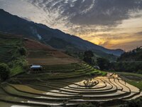 Terraced fields with mountains and sunset in Vietnam