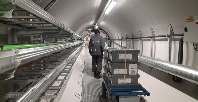 More than 30,000 Seed Samples from Seven Genebanks Secured in Svalbard Global Seed Vault