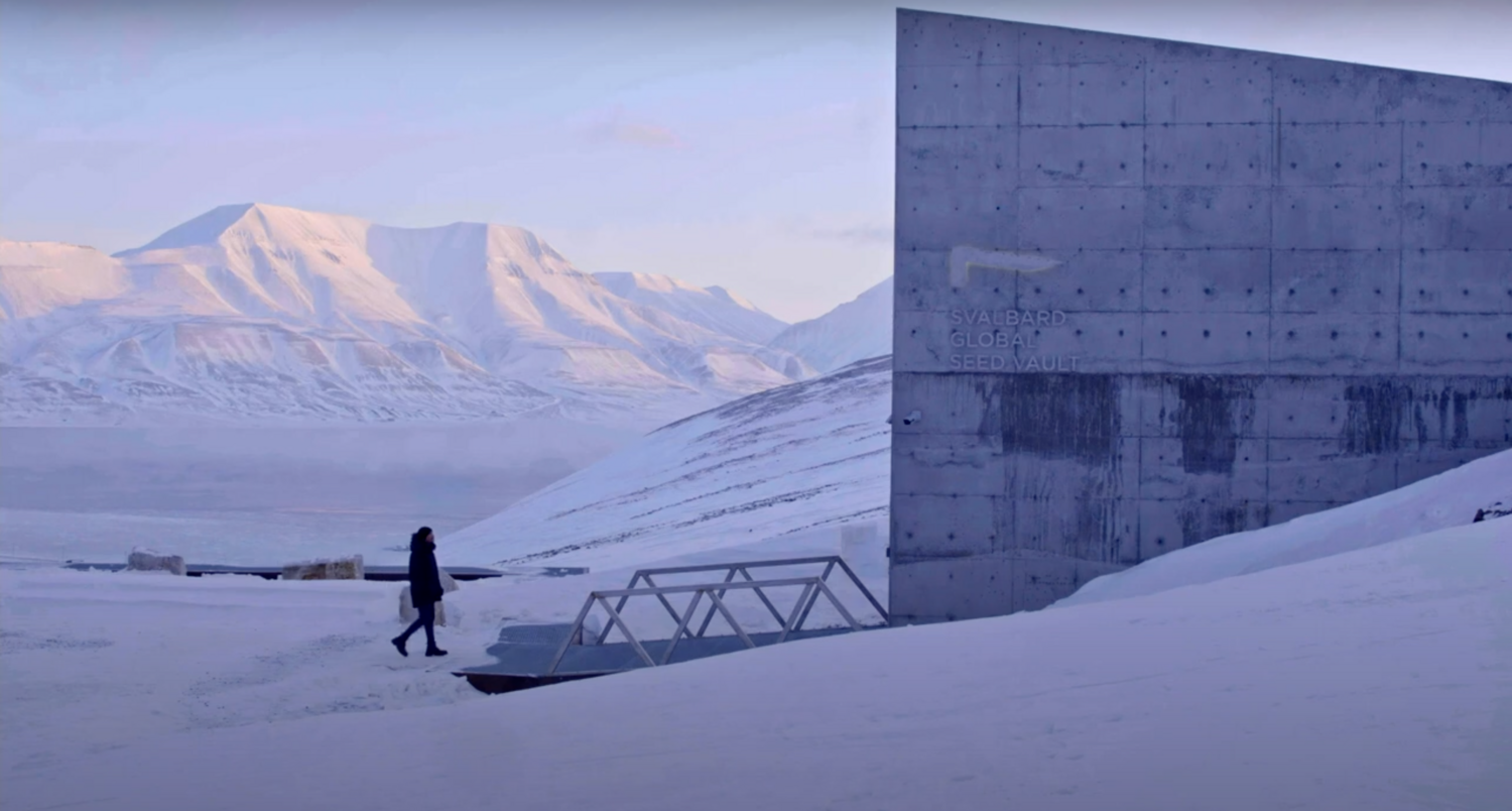 Person approaching Svalbard Global Seed Vault