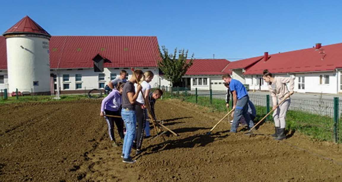 Group of people working the land