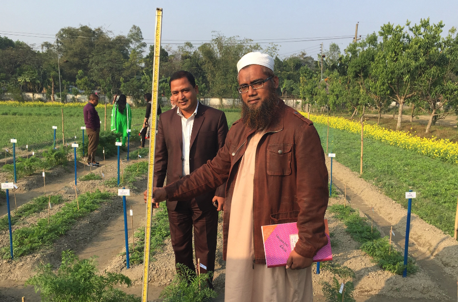 PhD student Majharul standing with a measuring stick and notebook in a carrot field.