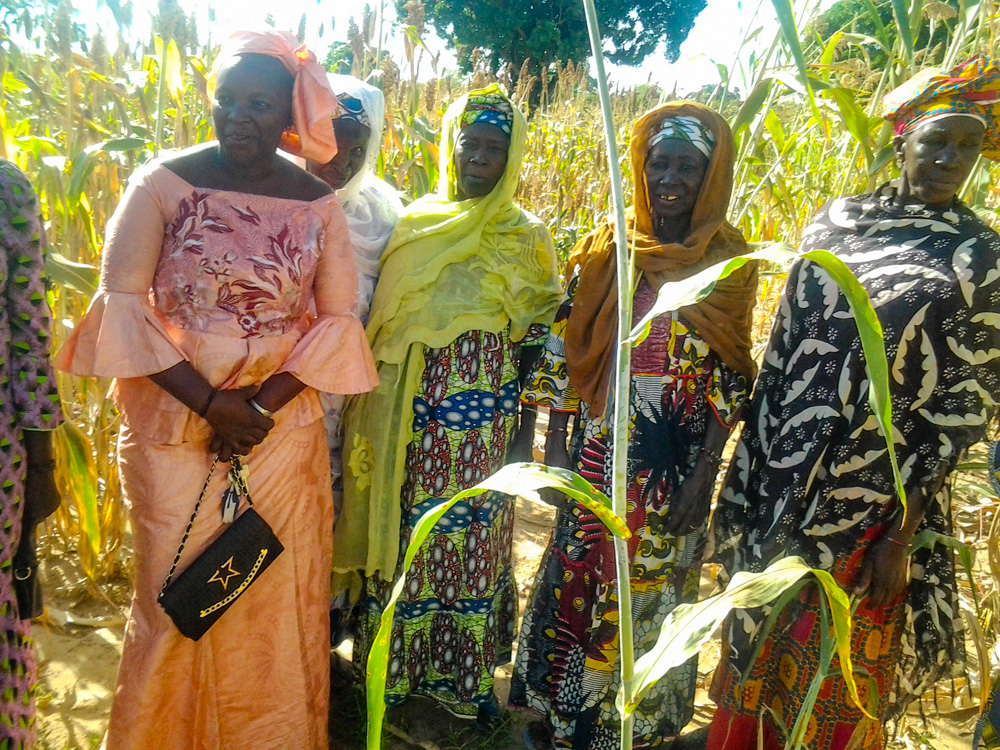 Some of the women who participated in the assessment of a sorghum field trial at Cinzana Research Station