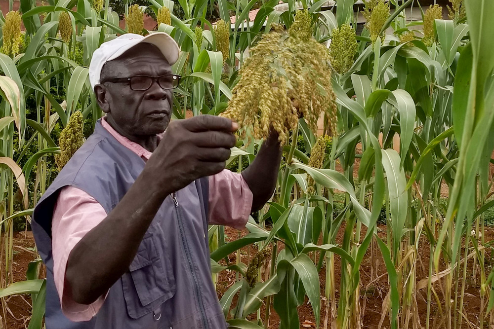 Alfred Ngesa, a farmer leader from Sega,