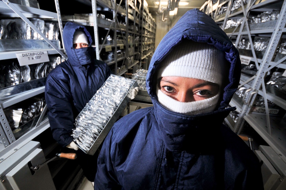 Two people dressed in coats standing in cold storage room.