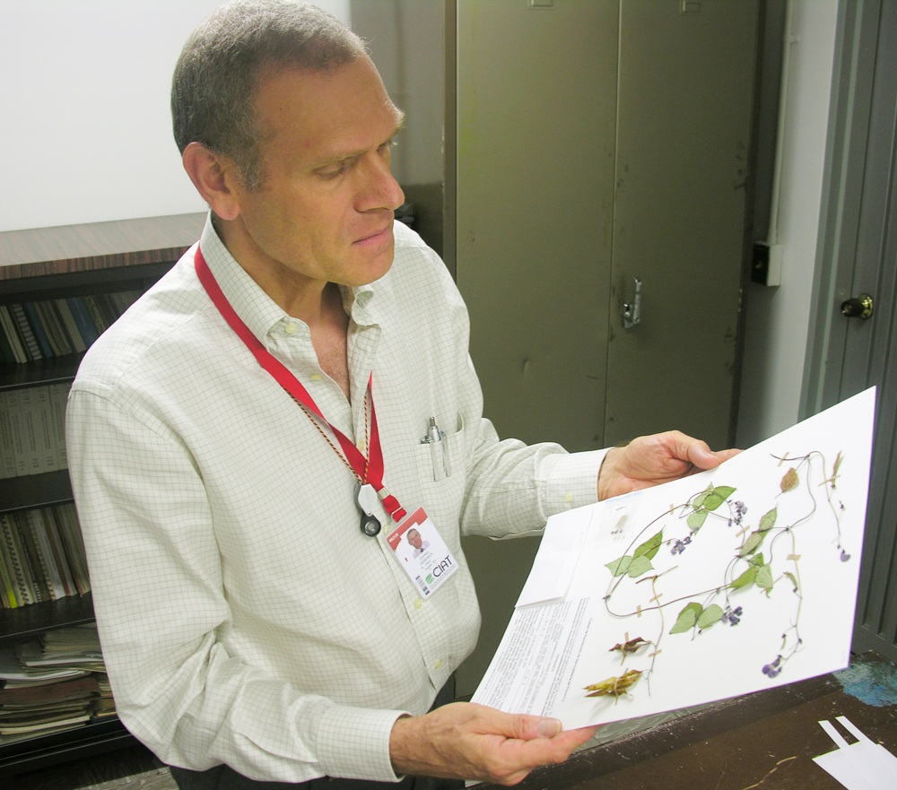 Dr. Debouck observing a specimen. 