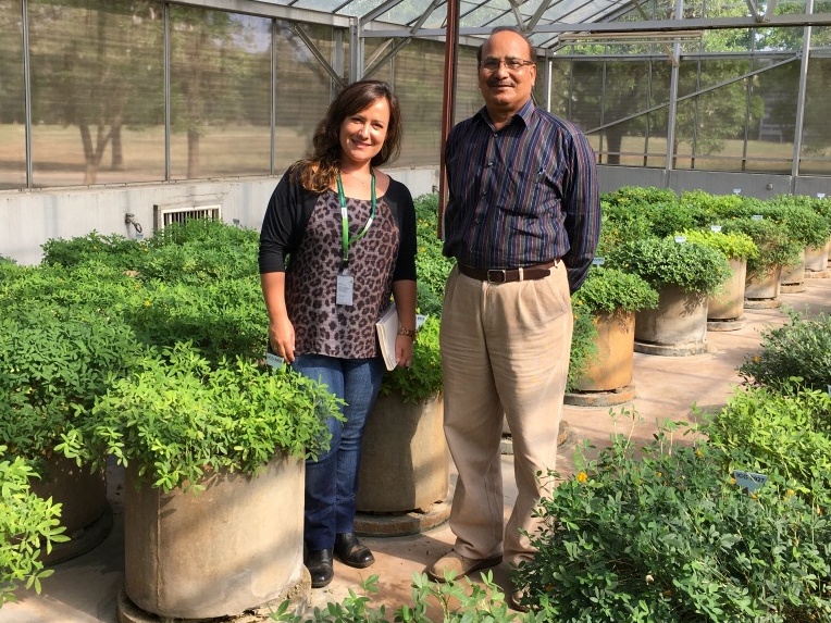Dr. Upadhyaya and woman posing in greenhouse. 