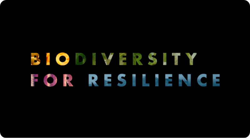 Biodiversity for Resilience: We are diverse. We are resilient.