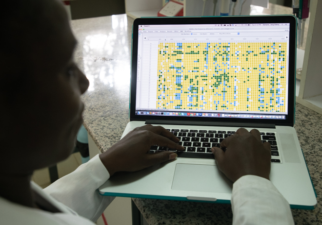 ICRISAT’s Damaris Odeny analyses SNPs (single nucleotide polymorphism) to detect differences in the DNA of different finger millet samples. The work to identify these SNPs will help guide finger millet breeders when selecting beneficial traits. Photo: Michael Major/Crop Trust