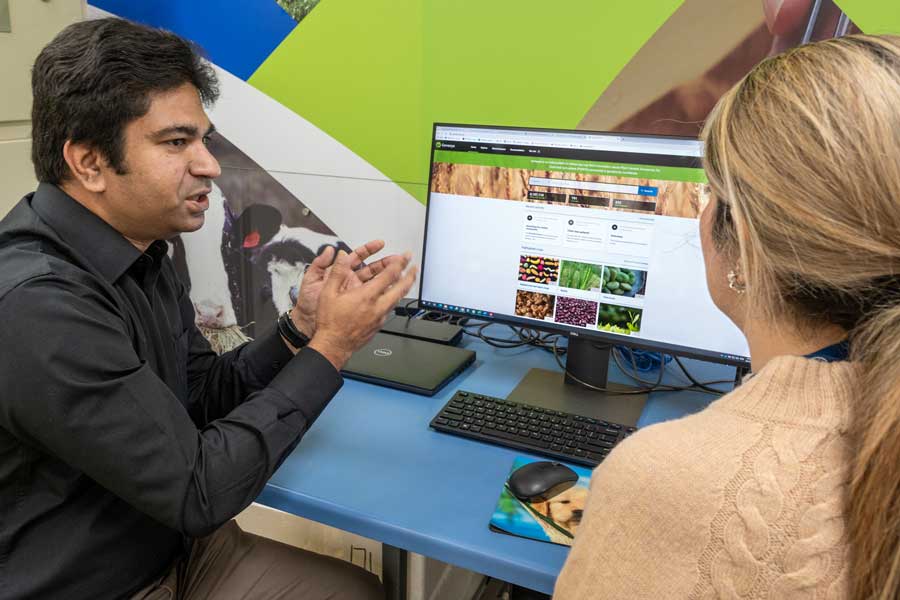 Zakir Hossain, Australian Pastures Genebank Database Manager, explains the Genesys website to Negar Nikmanesh, APG Seed store technician. (Photo: Michael Major for Crop Trust)